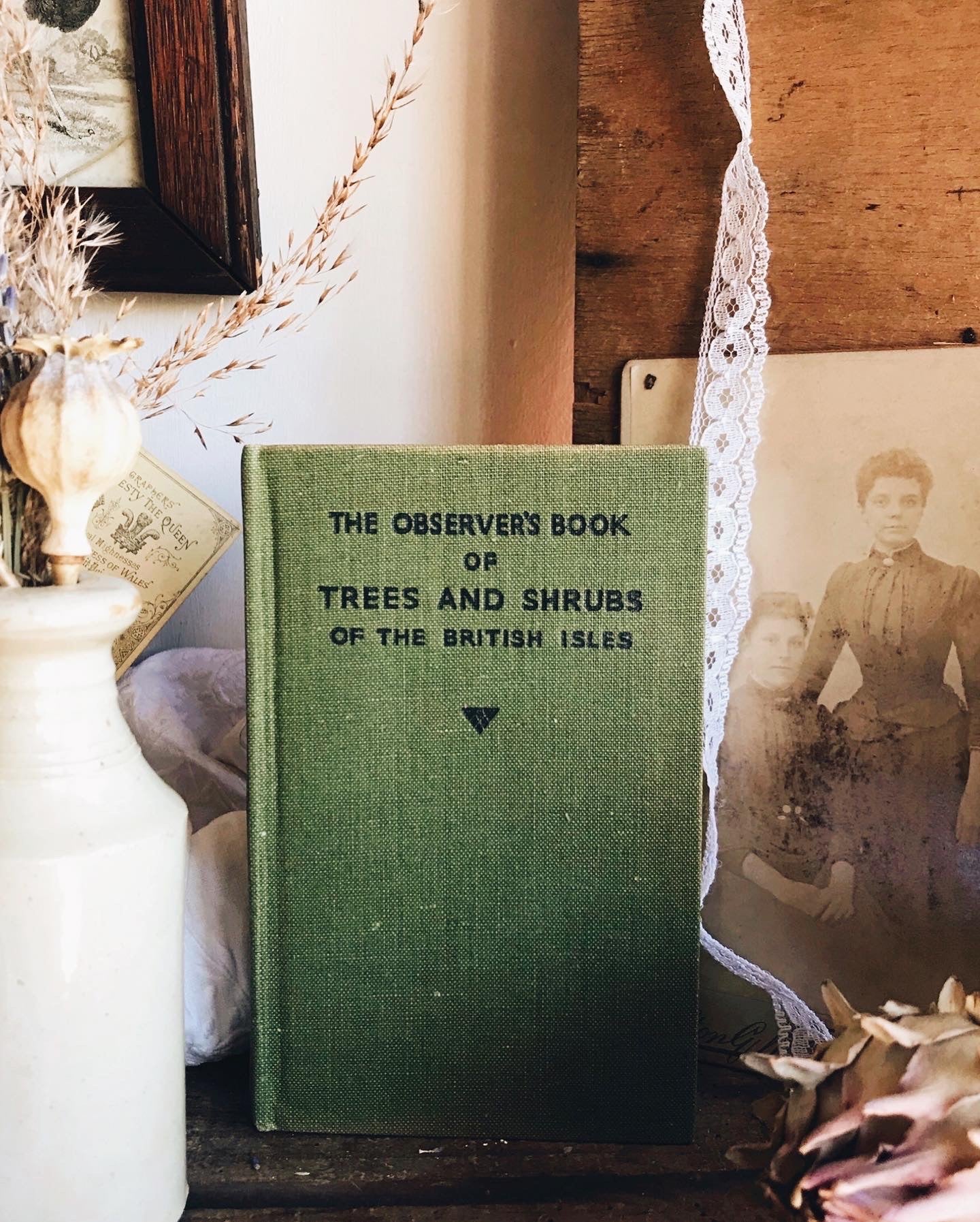 Vintage Tree’s & Shrubs of the British Isles Observer Book
