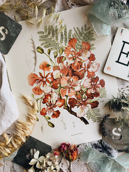 Vintage Style Floral Print