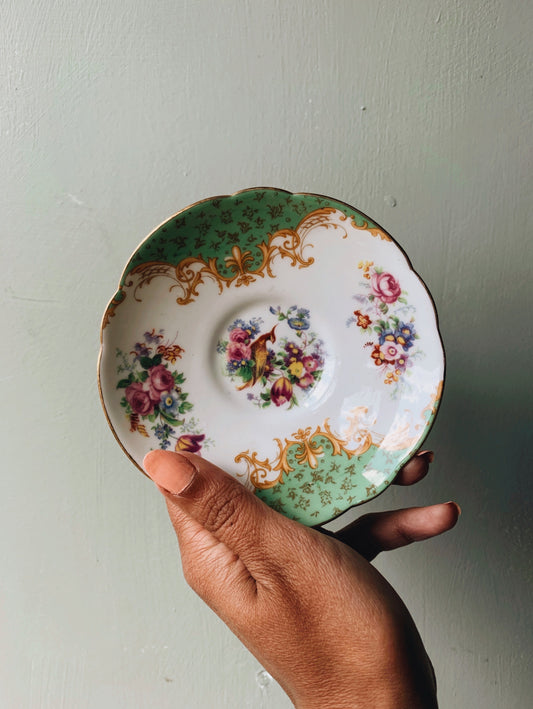 Antique Paragon Paradise Bird Saucer