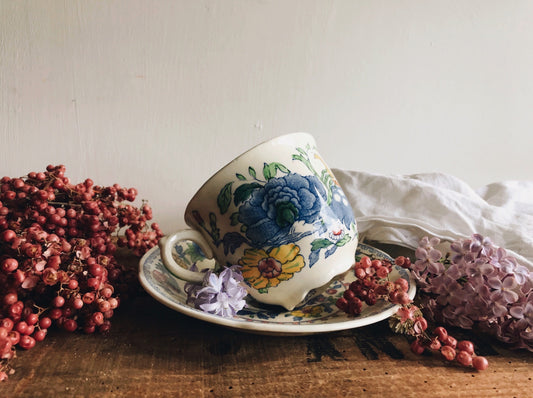 Vintage Mason’s Cup & Saucer