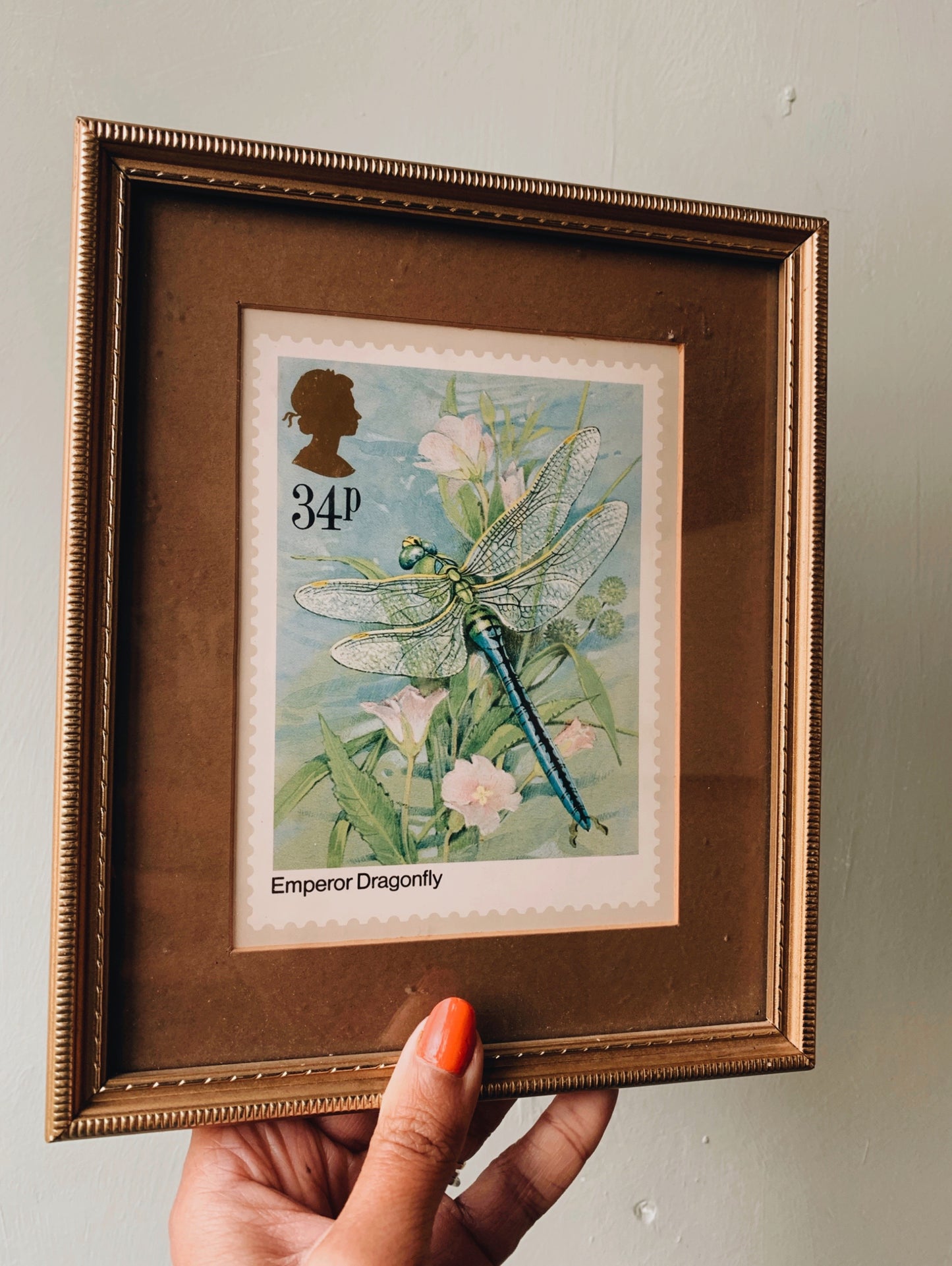 Vintage Dragonfly Stamp In Frame