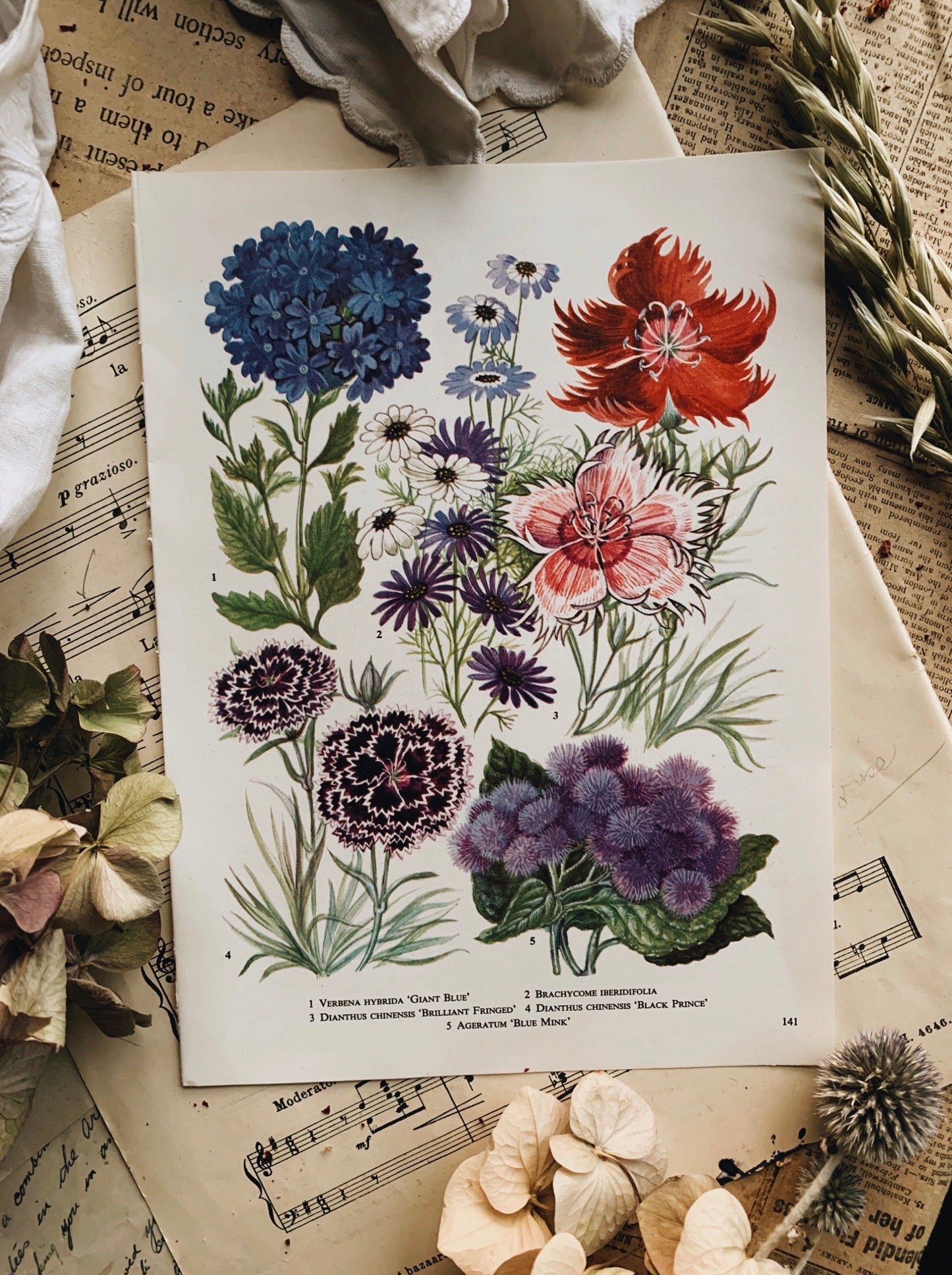 Vintage 1960’s Floral Bookplate ~ Giant Blue