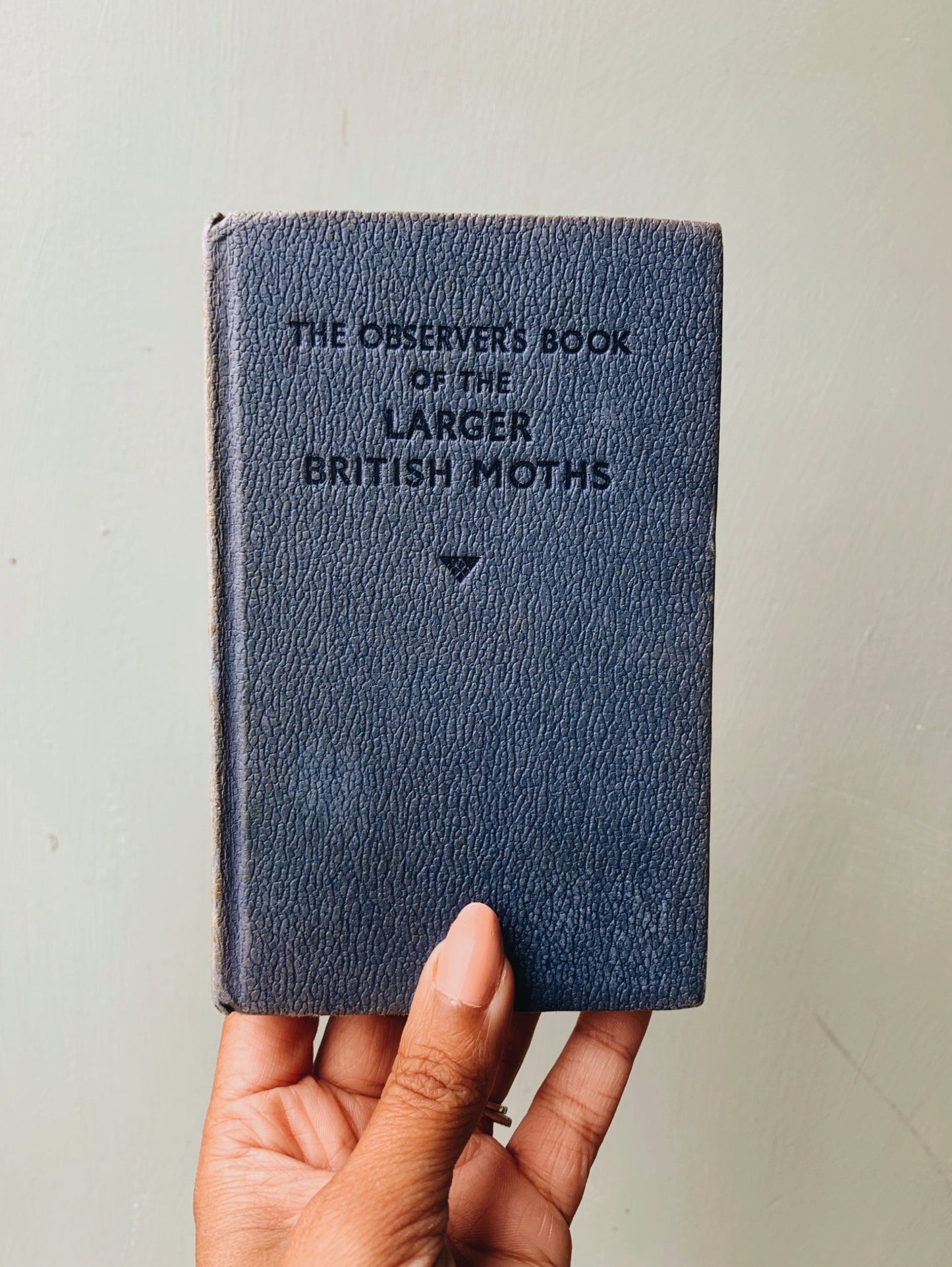 Vintage Large British Moths Observer