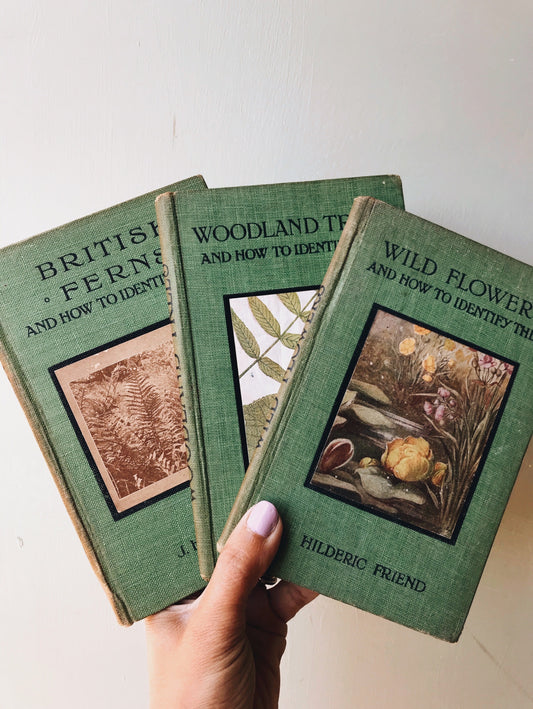 Antique 1920’s Botany Books (Sold Separately)