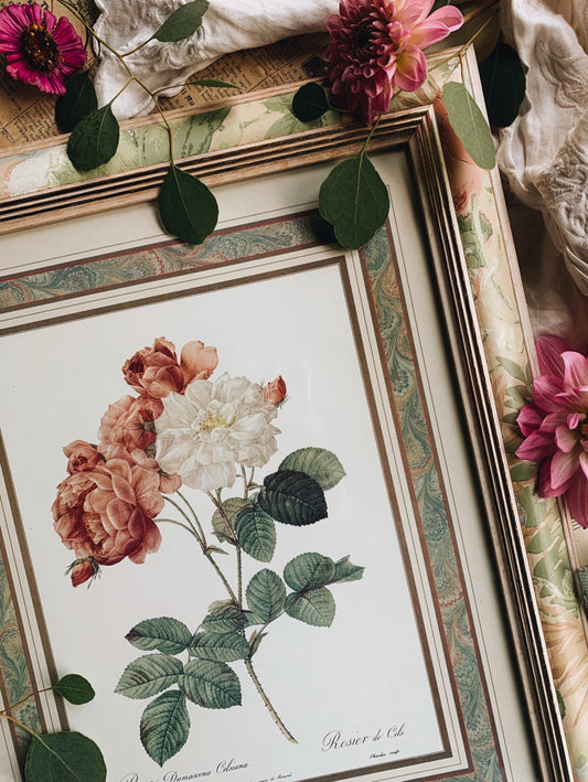 Vintage Large Rosa P J Redoute Framed (UK shipping only)