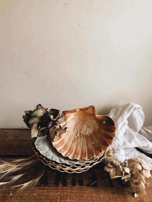Large Vintage Clam Shell