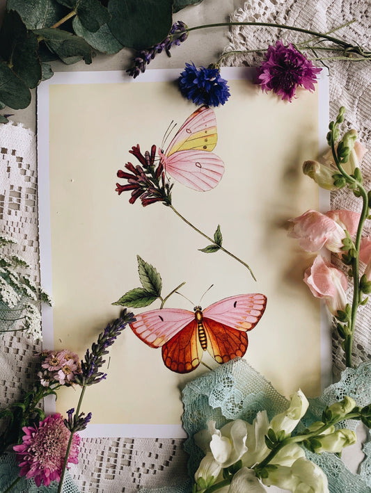 Vintage Style Butterfly Print