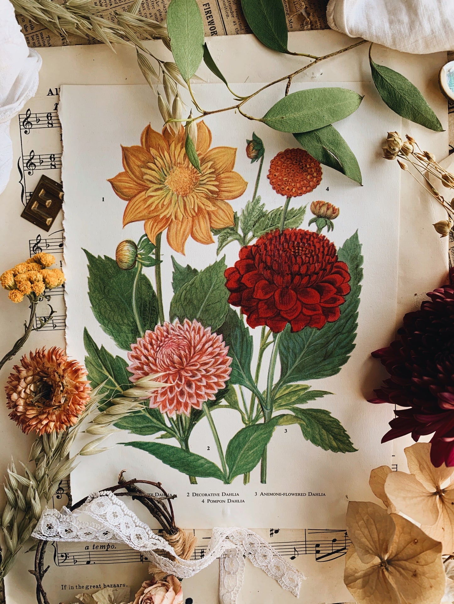 Vintage 1960’s Floral Garden Bookplate ~ Dahlia