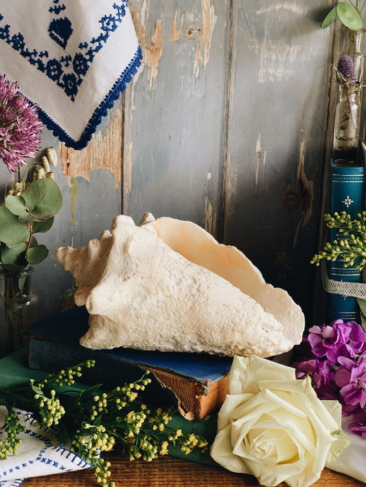 Large Vintage Shell