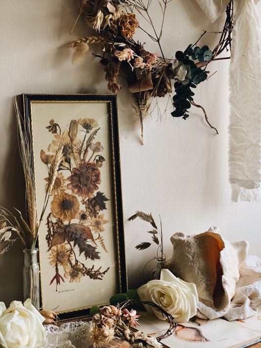 Antique Pressed Dried Flowers Framed