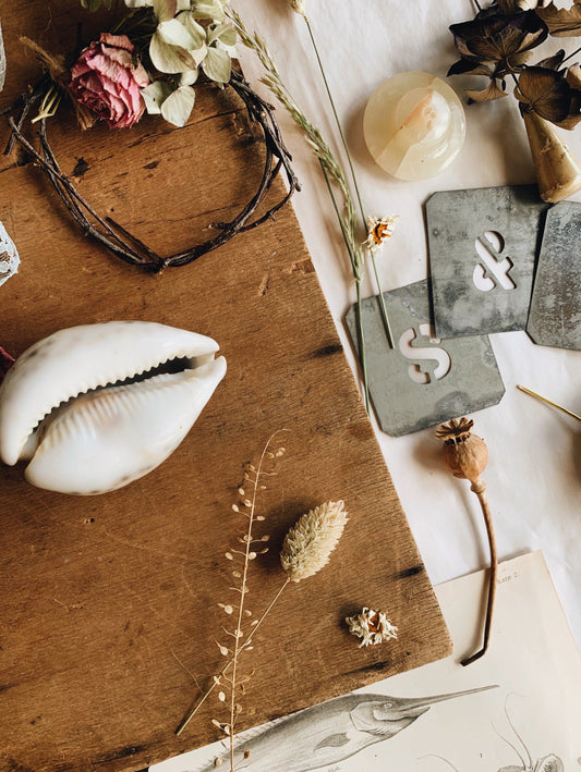 Vintage Shell