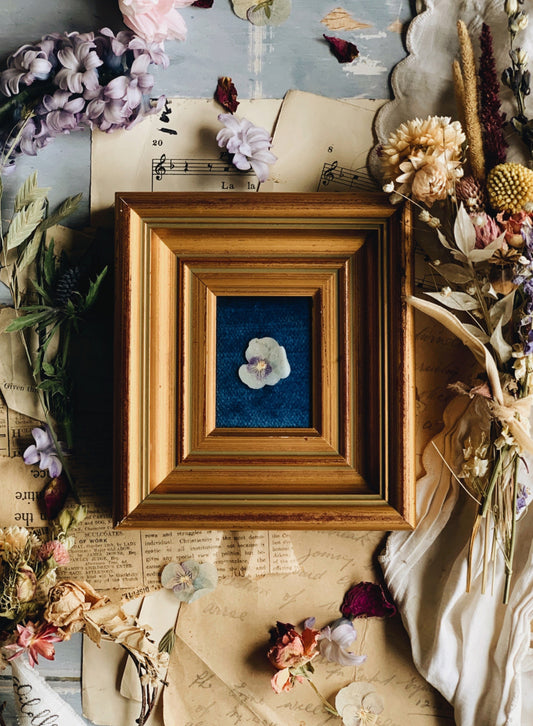 Vintage Entomology Fabric Gilt Frame (excludes flower)