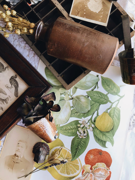 Vintage Orange & Lemon Bookplate