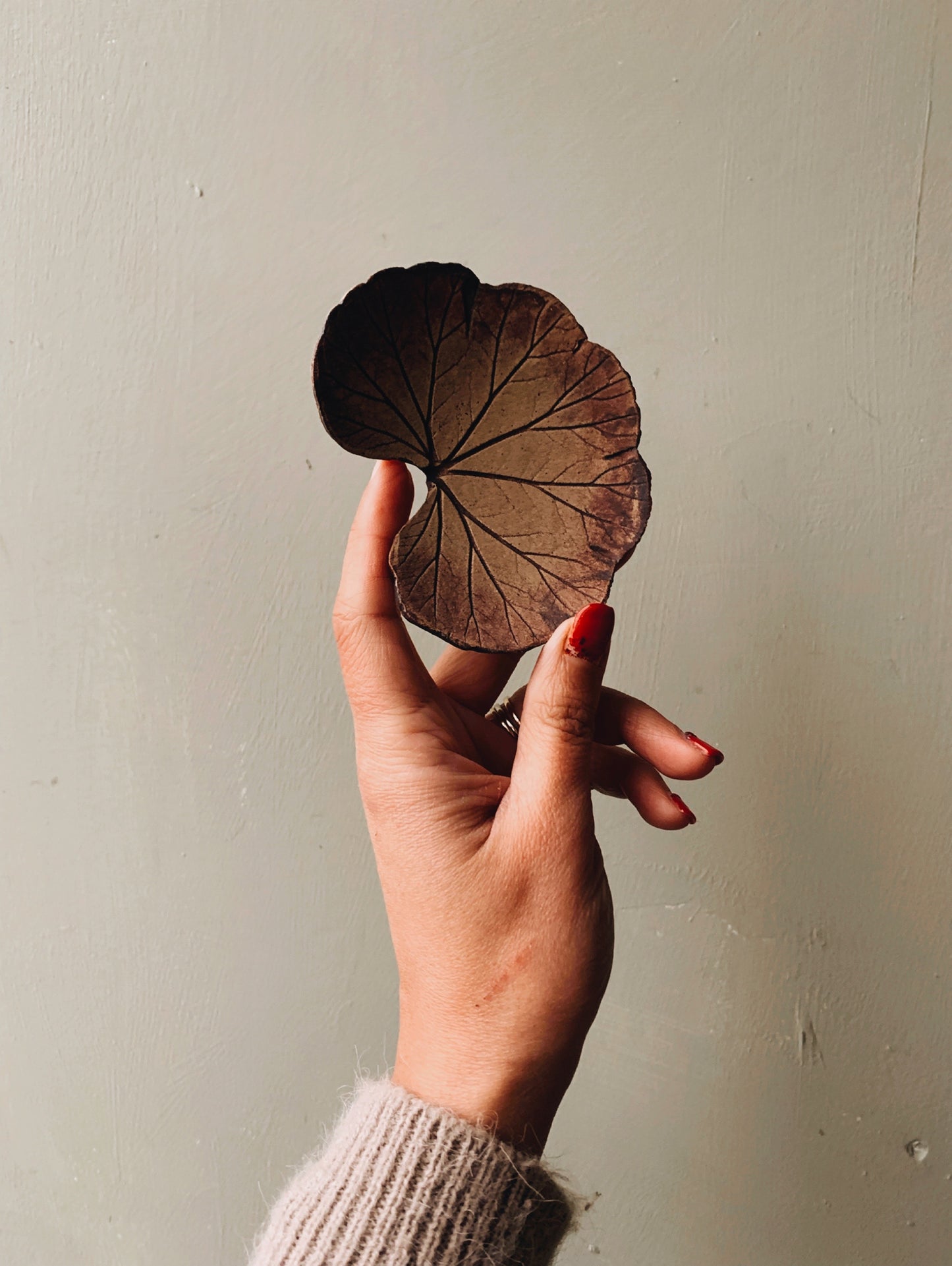 A Pair of Ceramic Leaf Print Dishes