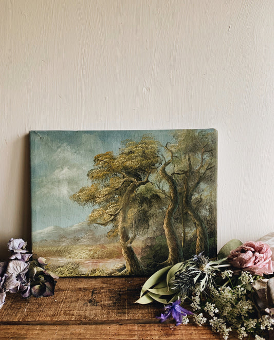 Rustic Landscape Painting (canvas)