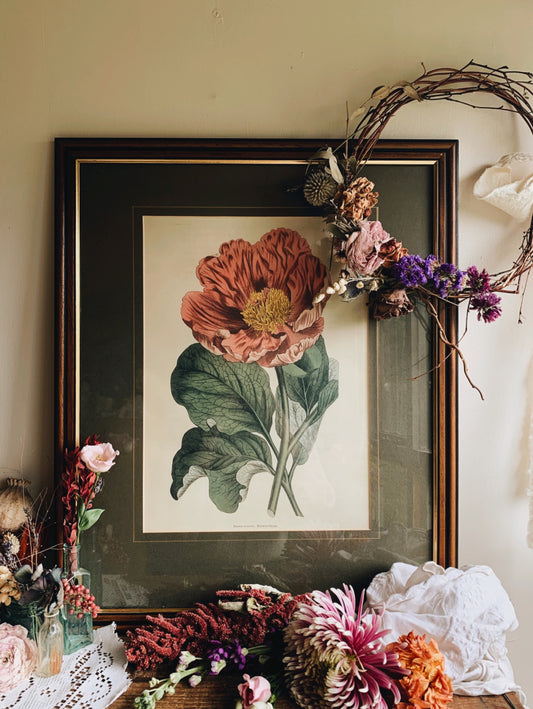 Large Vintage Peonia Print Framed (UK SHIPPING ONLY)