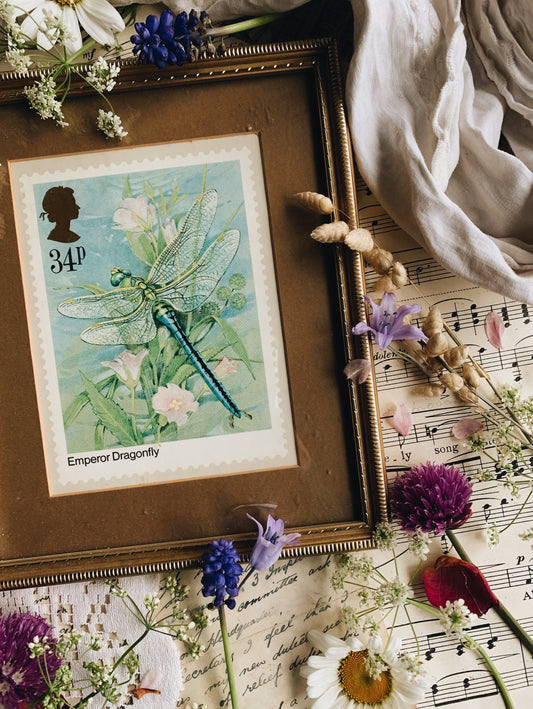 Vintage Dragonfly Stamp In Frame