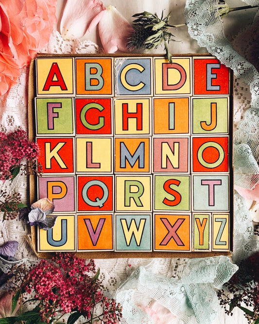 Kitsch 1960’s Wooden letter Blocks with Illustrative Animals ~ Sold Separately