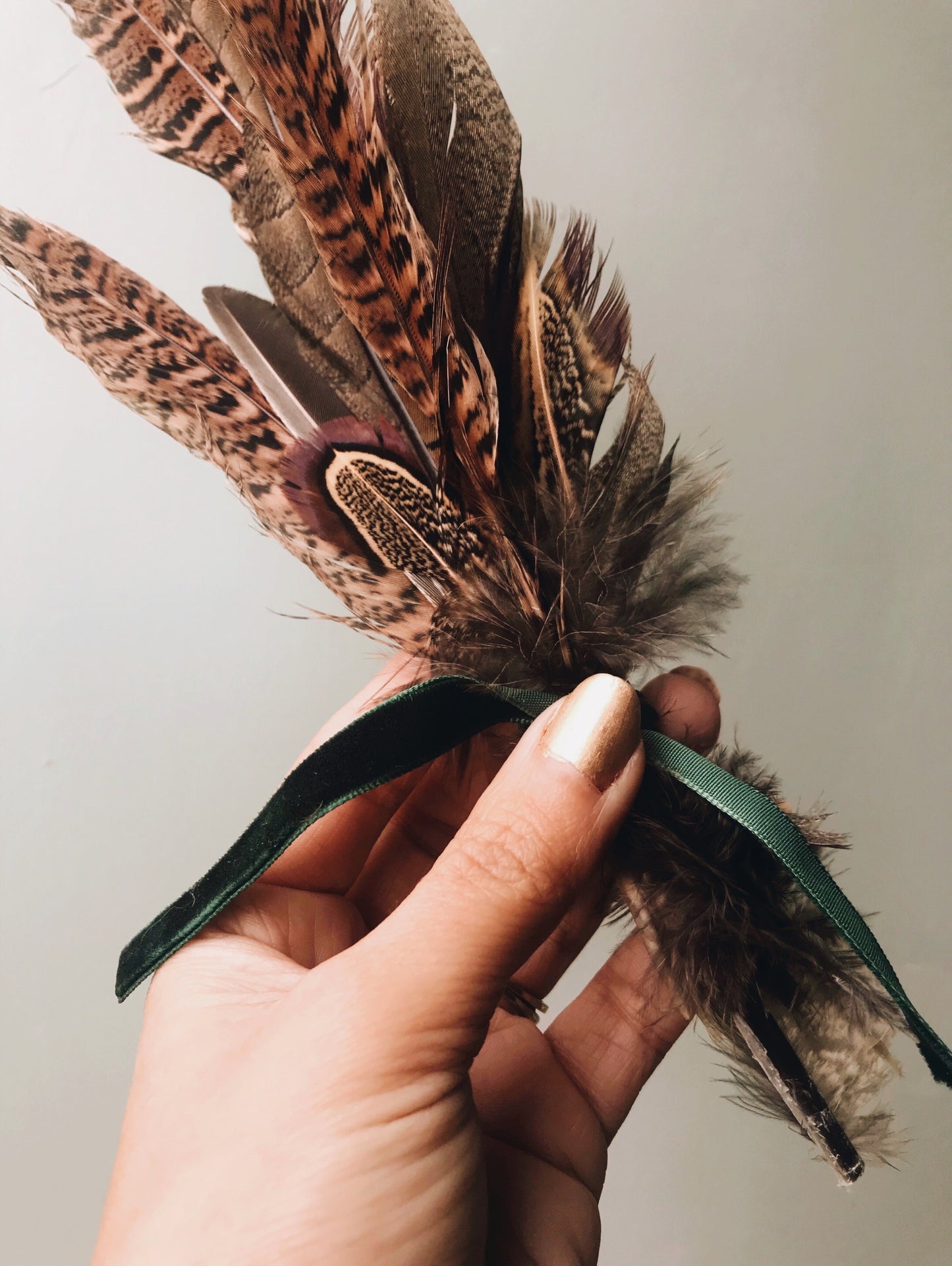 Pheasant Feathers - Stone & Sage 