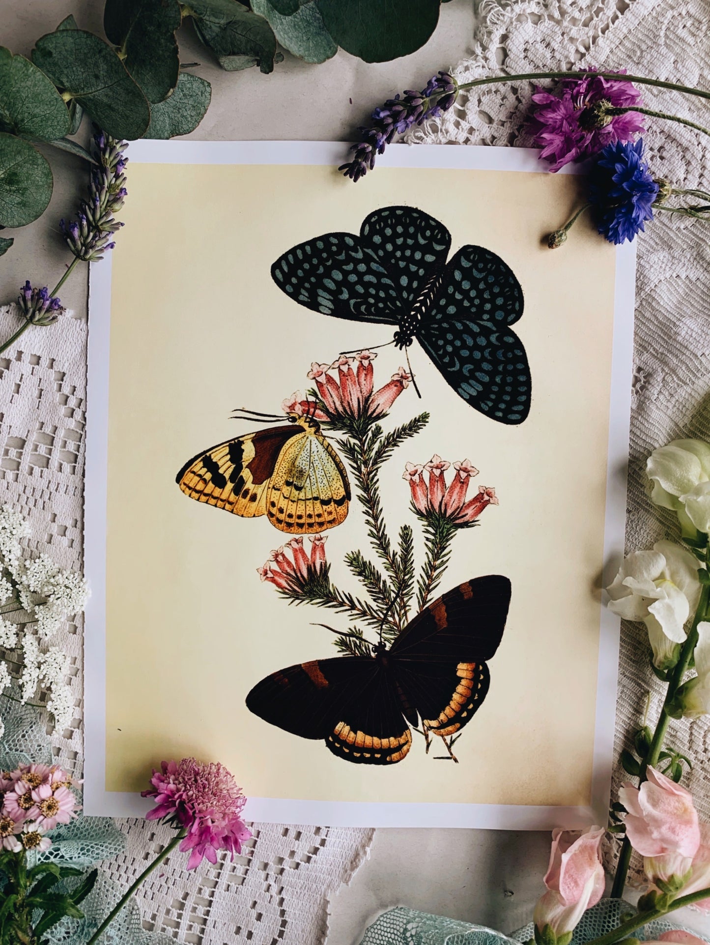 Vintage Style Butterfly Print