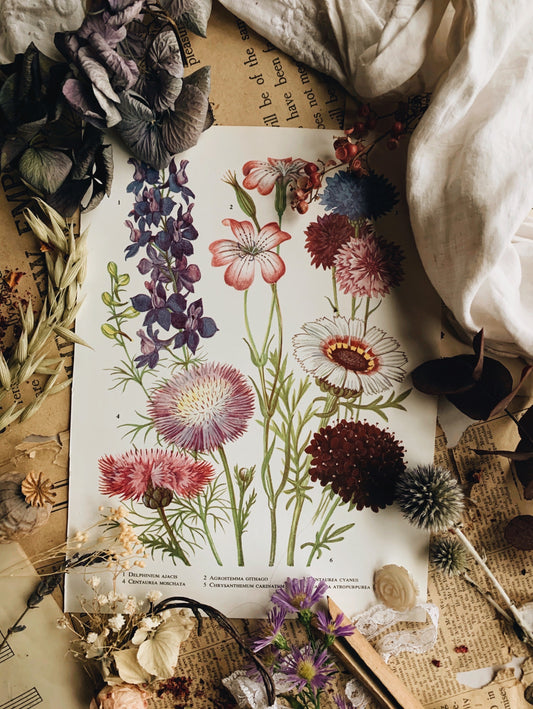 Vintage 1960’s Floral Garden Bookplate ~ Delphinium